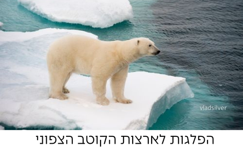 הקוטב הצפוני