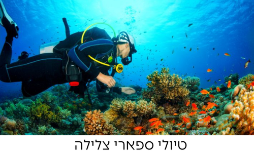ספארי צלילה