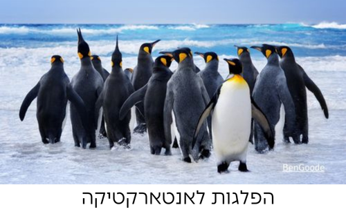 הפלגות לאנטארקטיקה