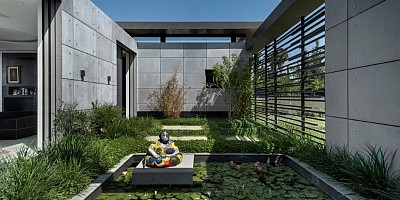 nl_2020_02_1...