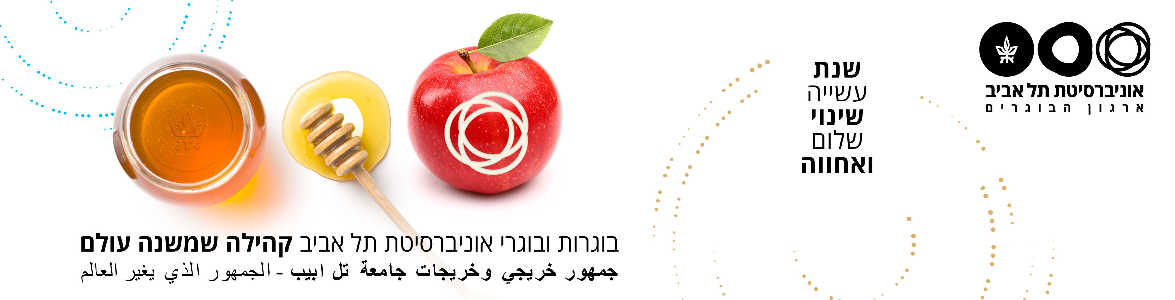 headerdivur6...