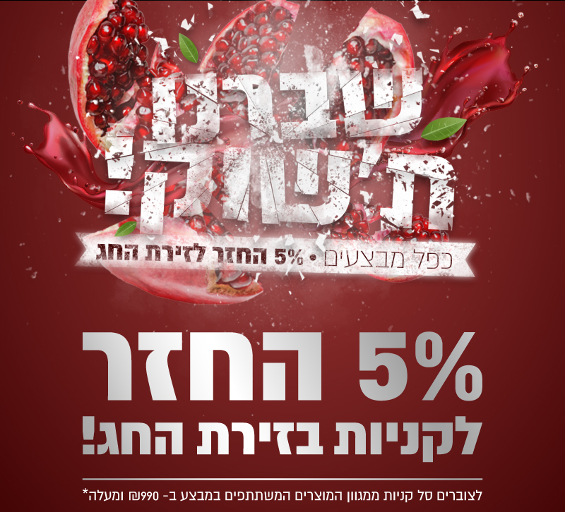 מבצע שברנו תשוק