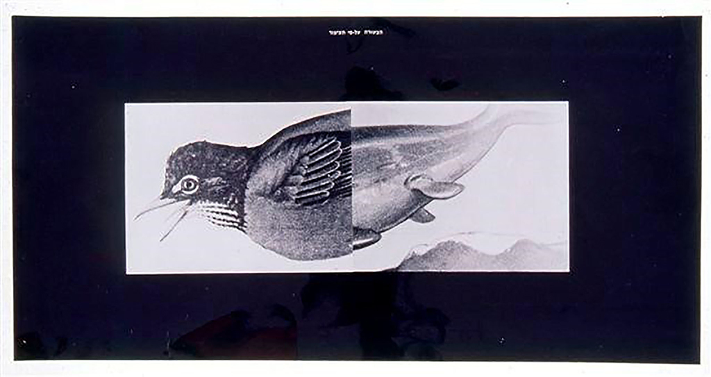 Michal Na’aman, The Gospel According to the Bird, 1977