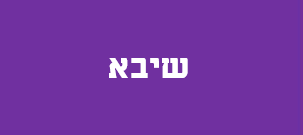 תמונה1(4)