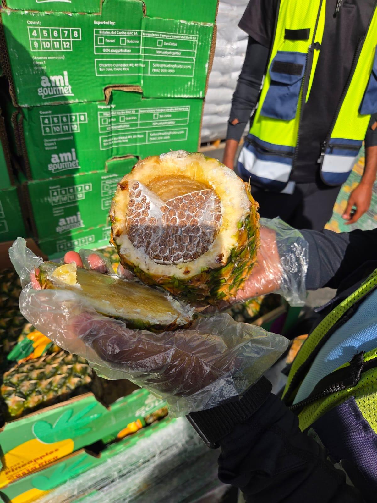 edbd9ea9-09f...