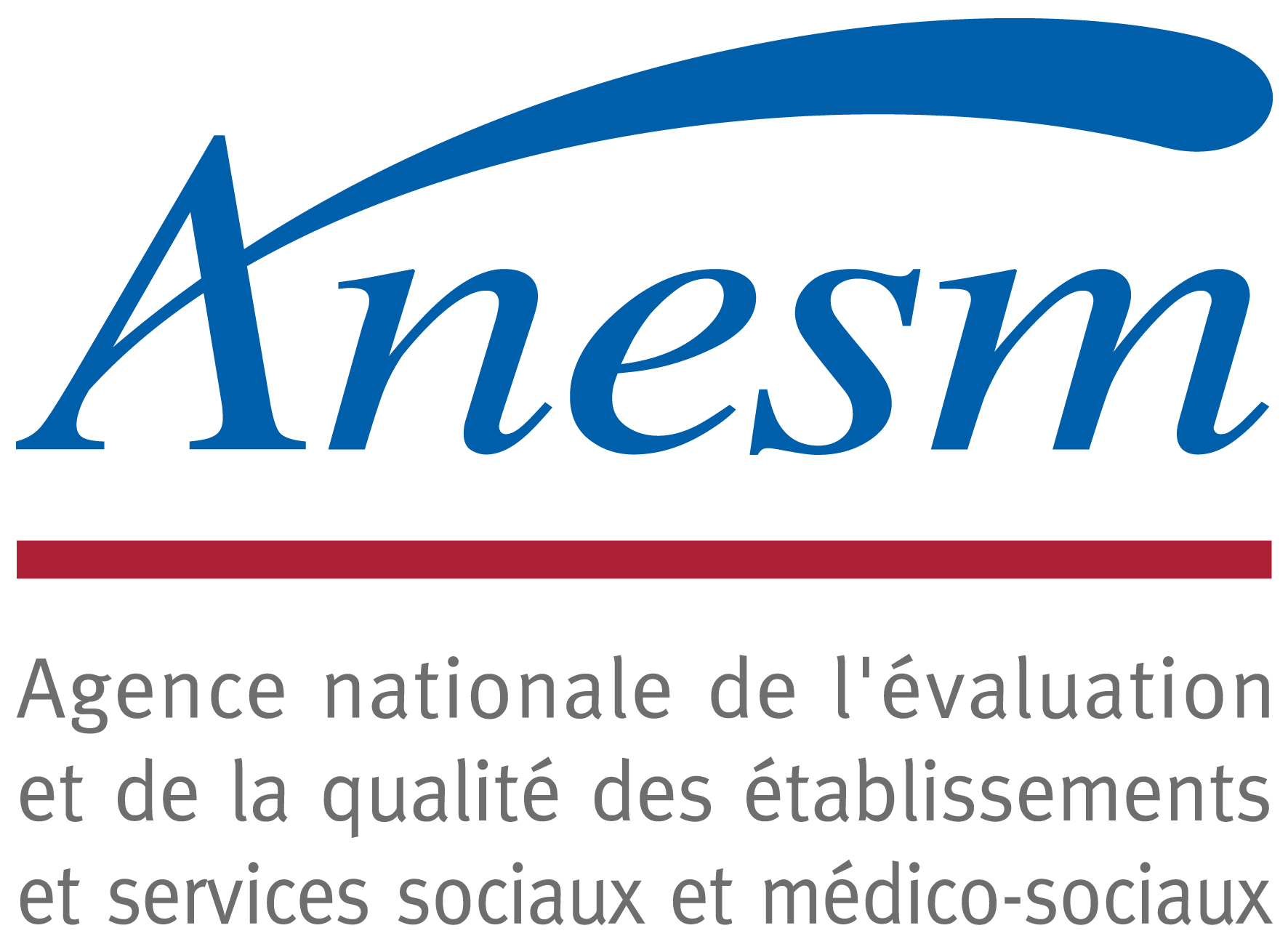 Logo Anesm