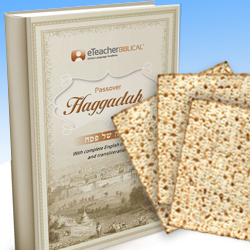 Download your eHaggadah today!