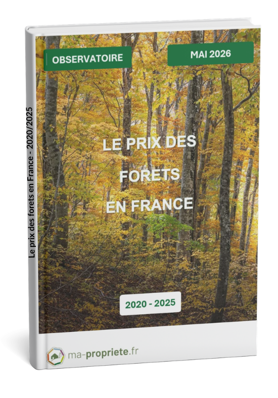 mockup_livre...