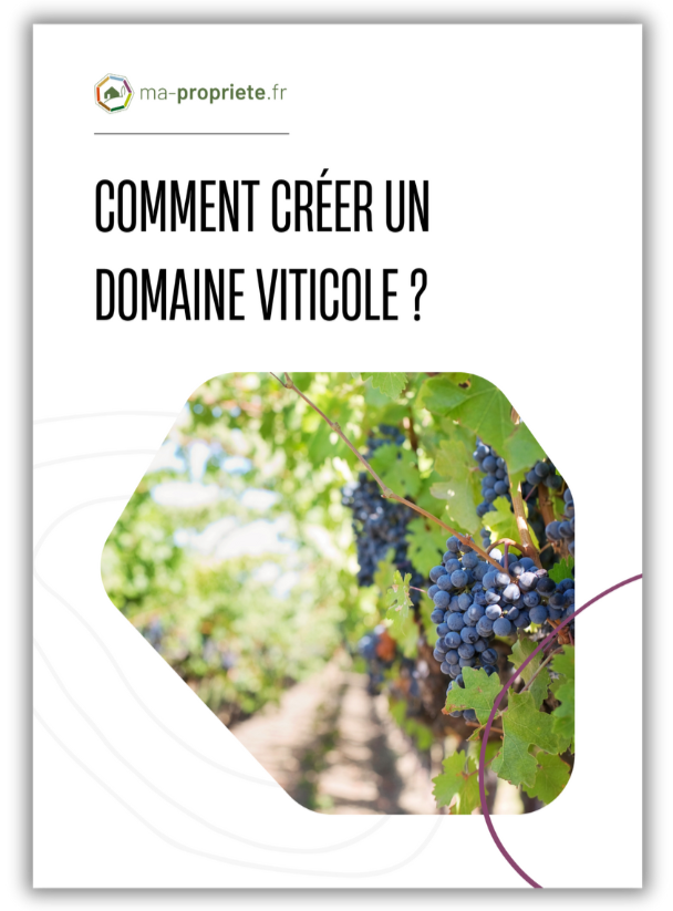 livre-blanc-creation-domaine-viticole