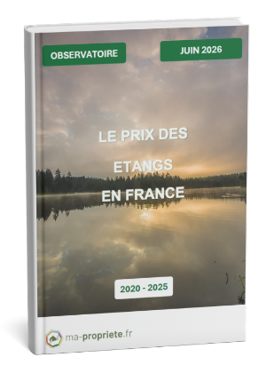 mockup_livre...
