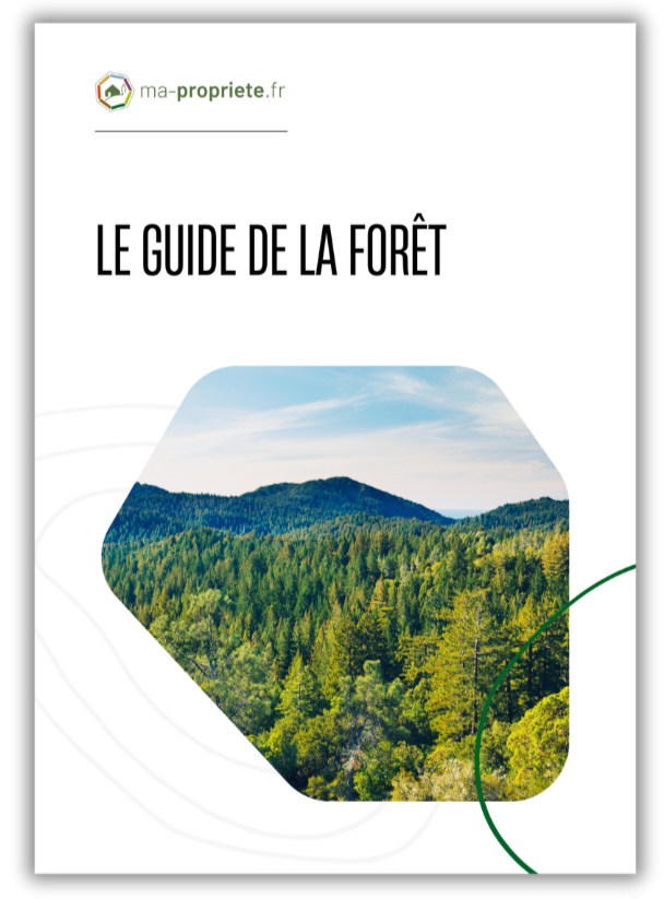 livre-blanc-guide-de-la-foret