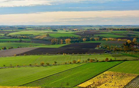 landscape-37...