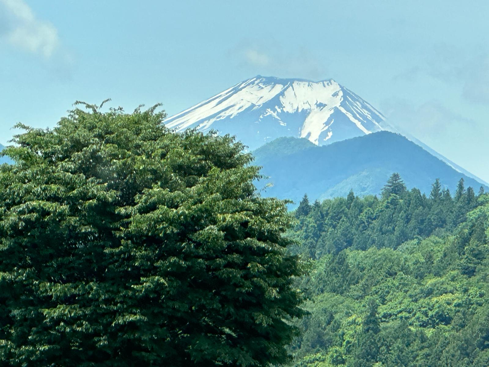 mount_figi2_2