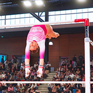 aer