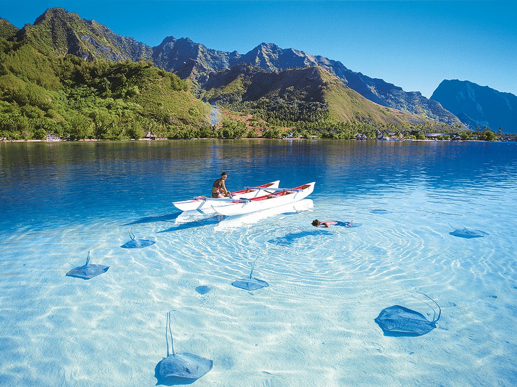 3e1ddb8d9e43... 3e1ddb8d9e43...