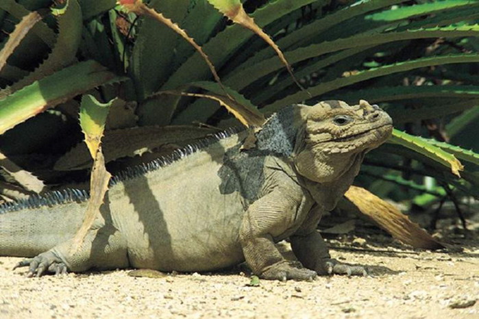 70950584_24 70950584_24