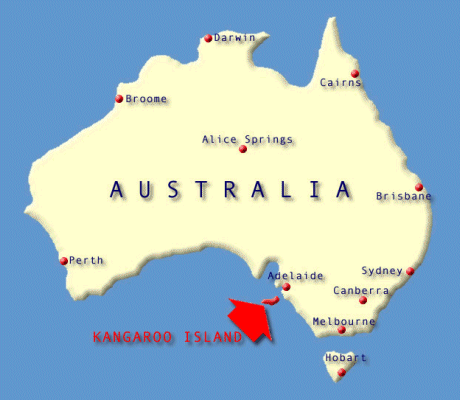 Kangaroo_Isl...