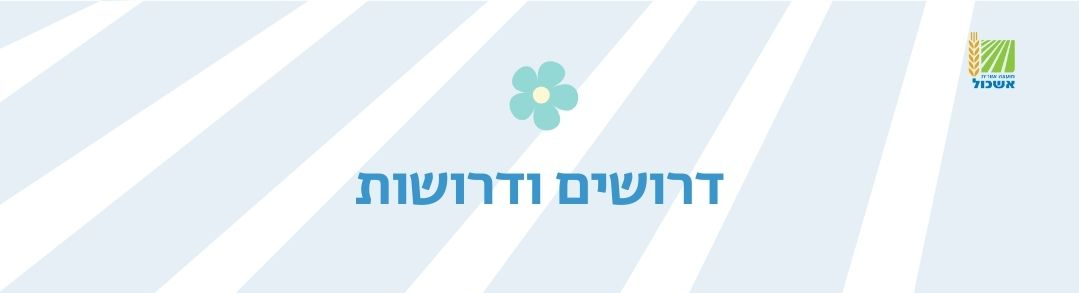 _____2