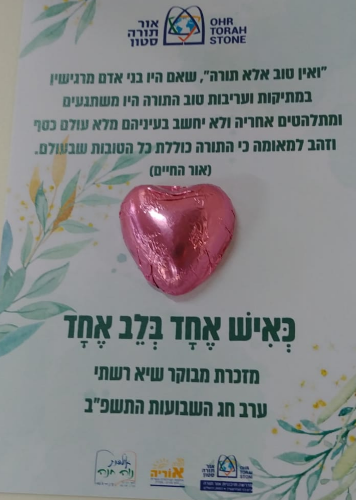 ניוזלטר2