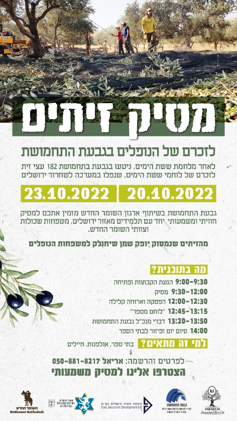 ניוזלטר2