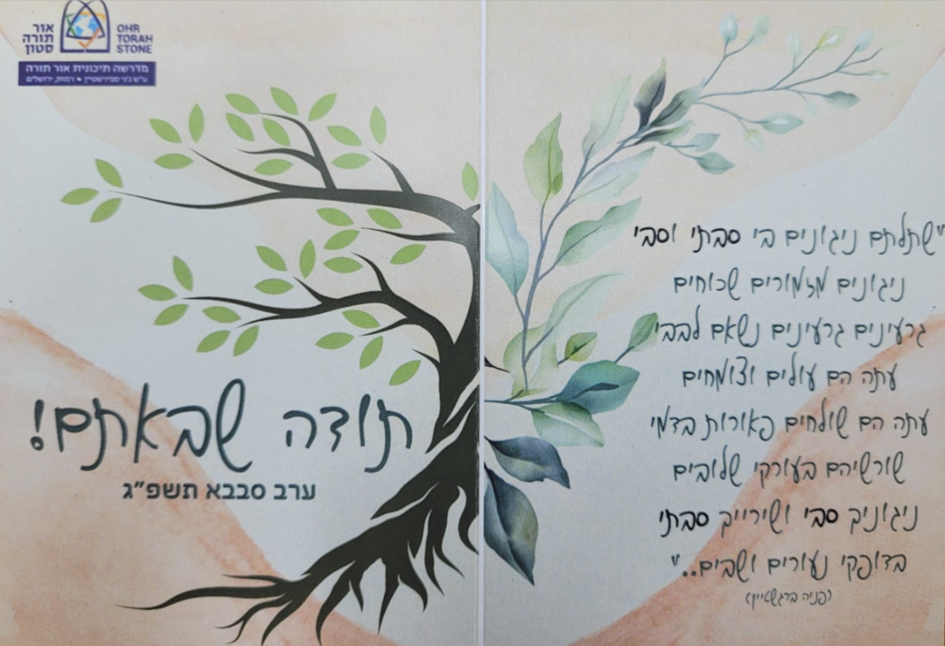 ניוזלטר2