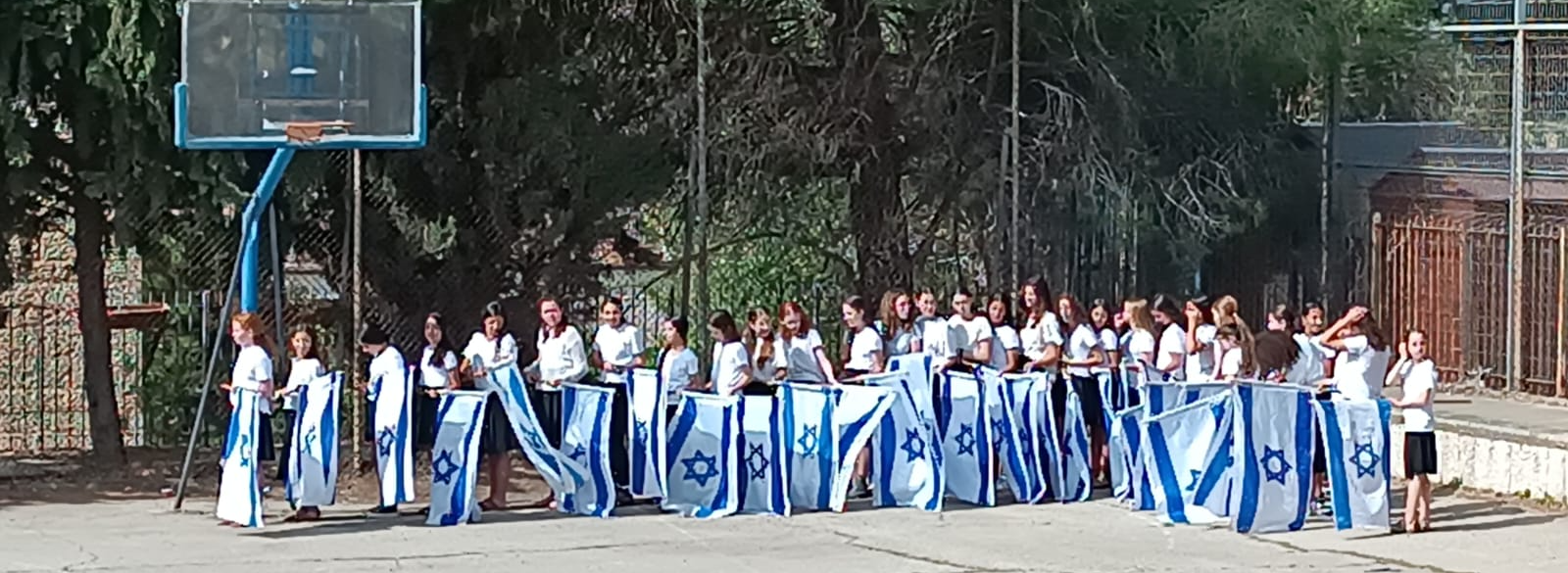 ניוזלטר2