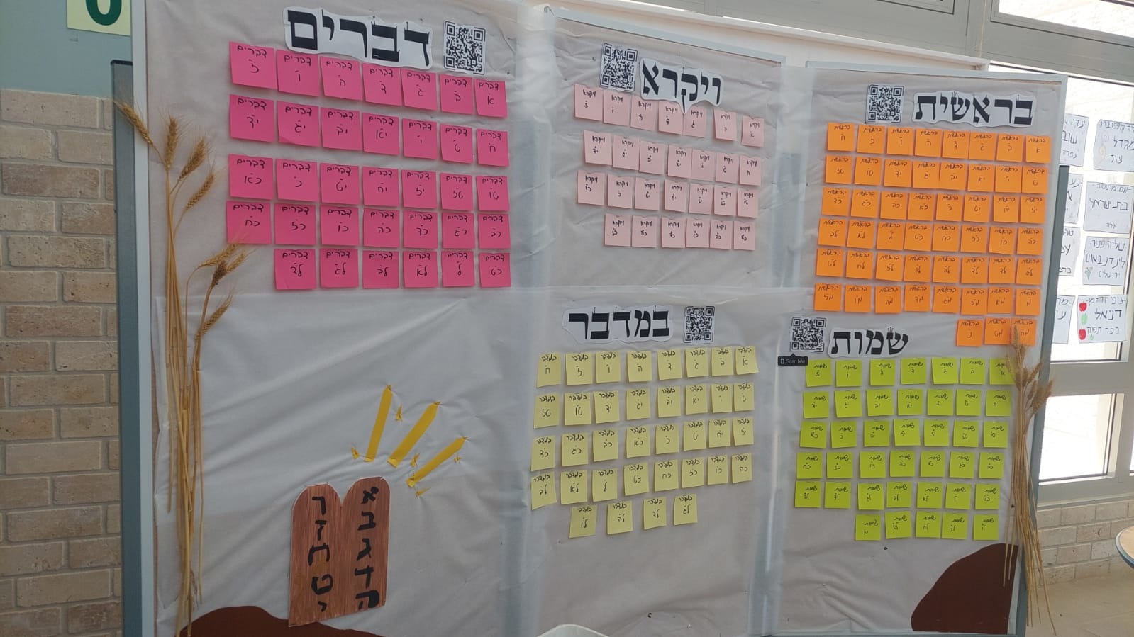 ניוזלטר2