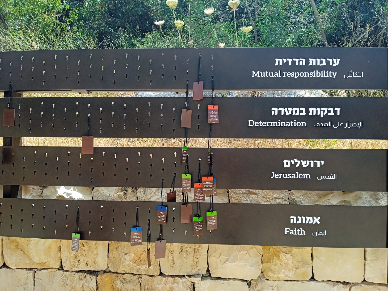 ניוזלטר2