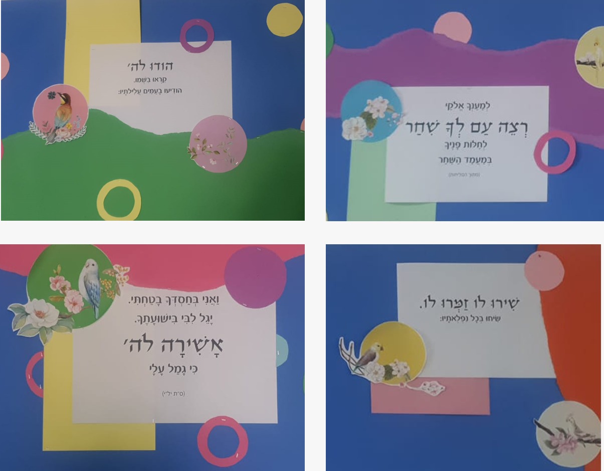 ניוזלטר2