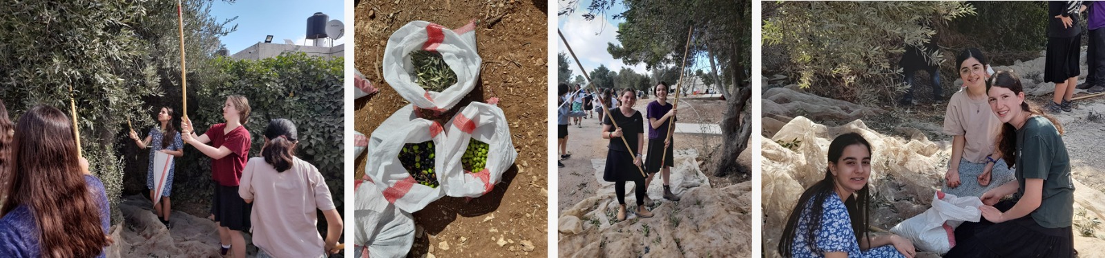 ניוזלטר2