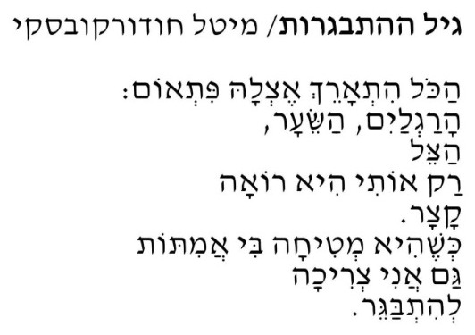 ניוזלטר2