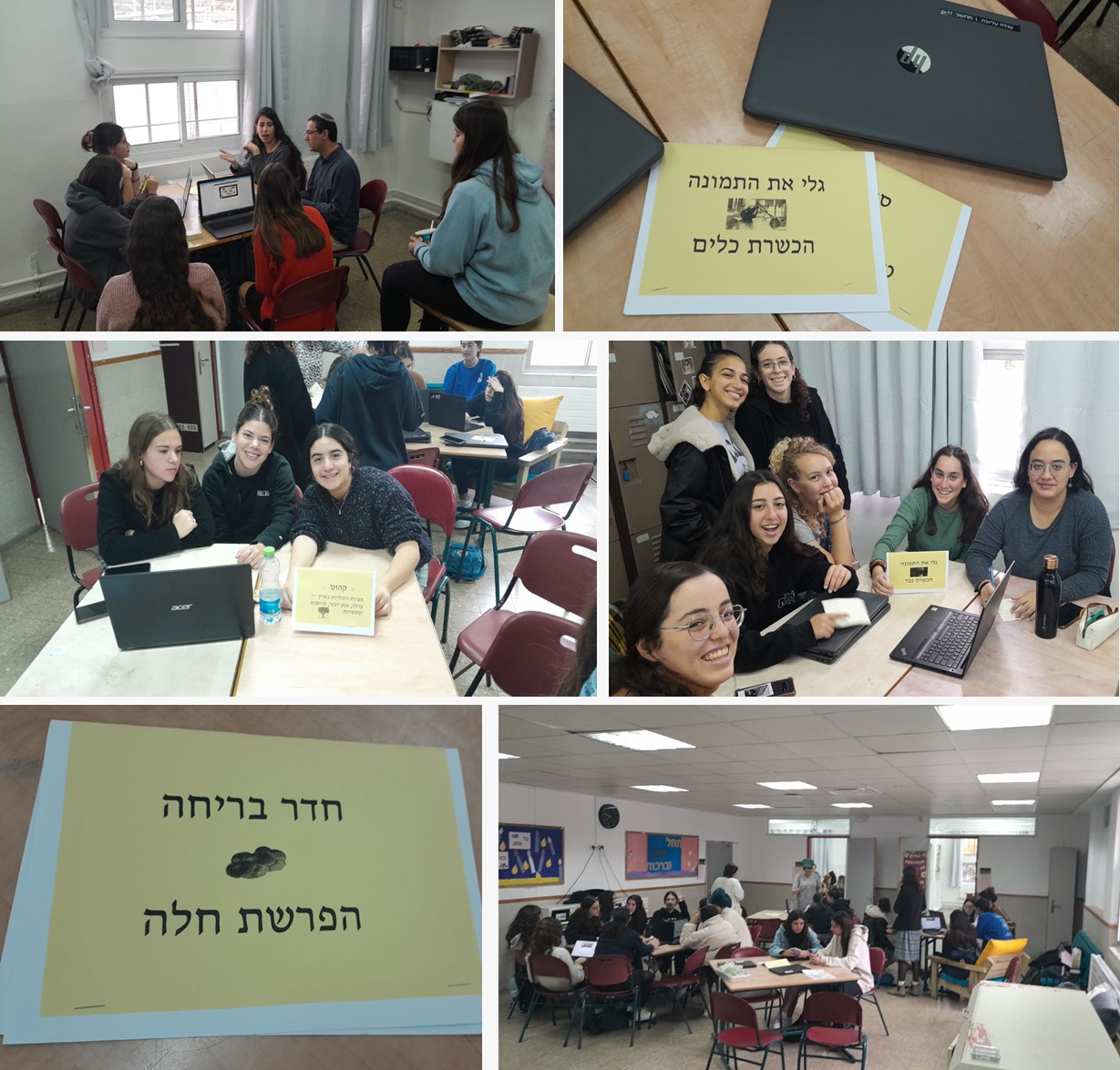 ניוזלטר2