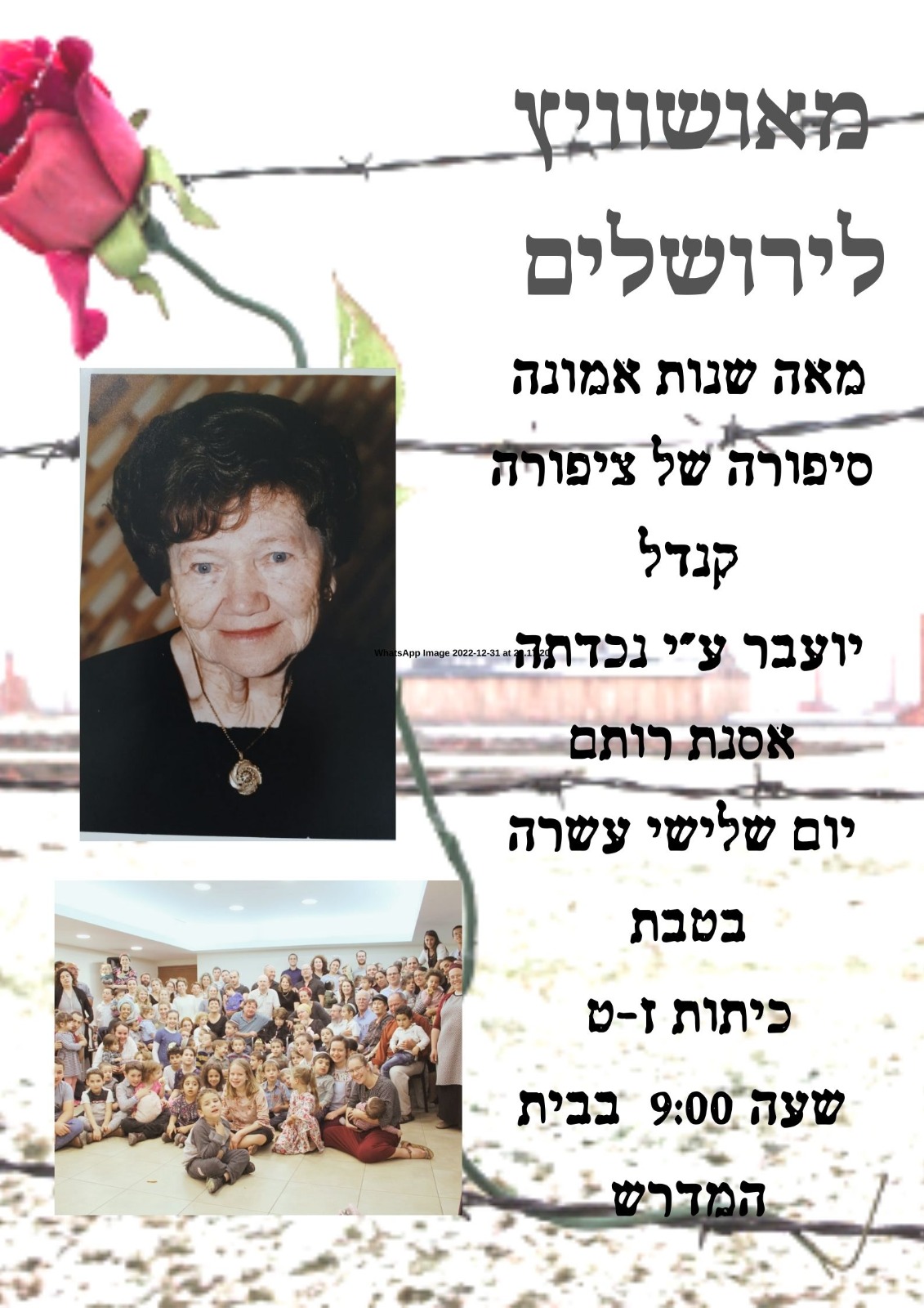 ניוזלטר2