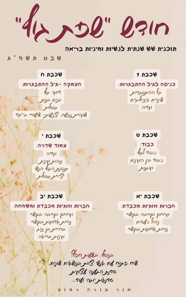 ניוזלטר2