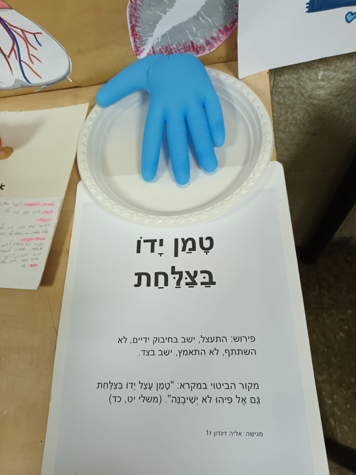 ניוזלטר2