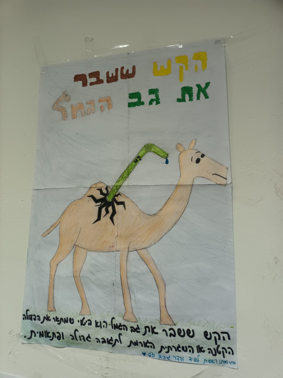 ניוזלטר2