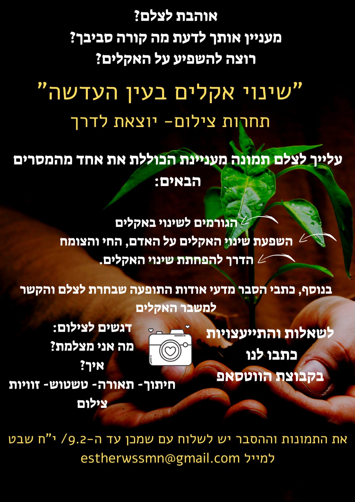 ניוזלטר2