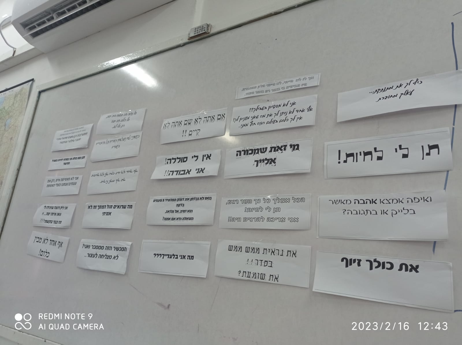 ניוזלטר2