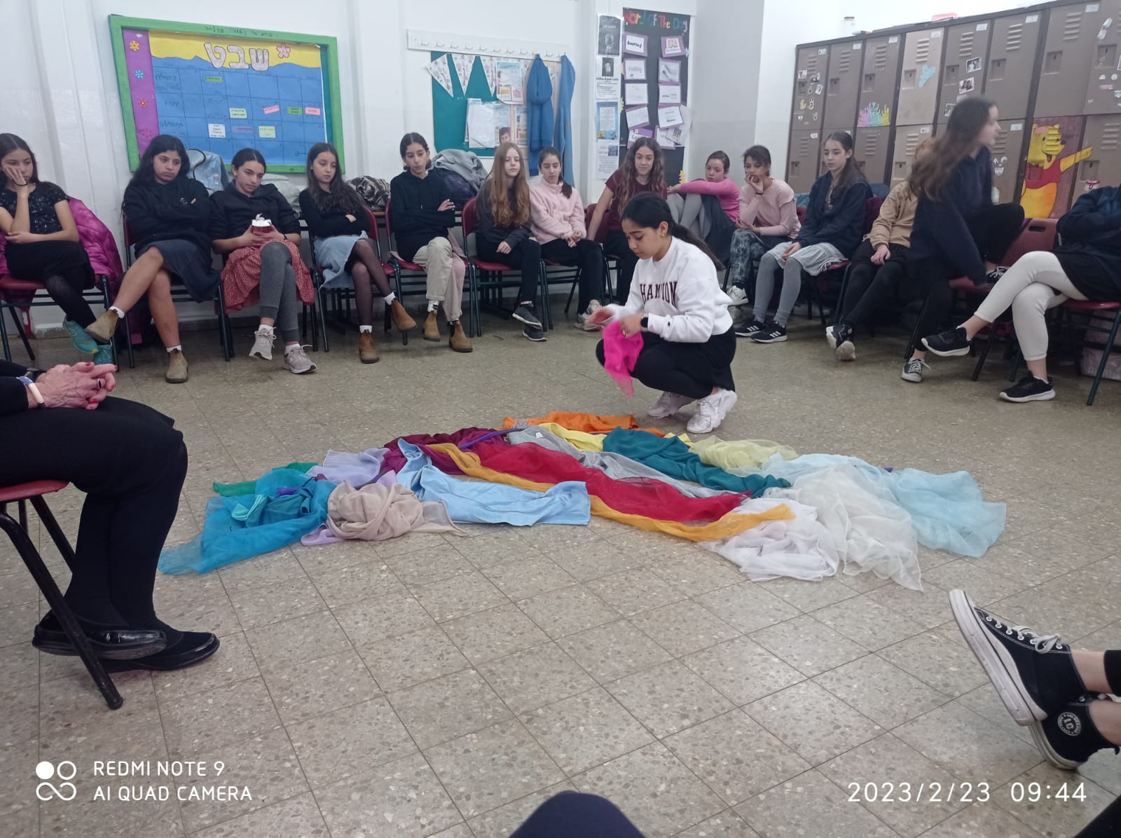 ניוזלטר2