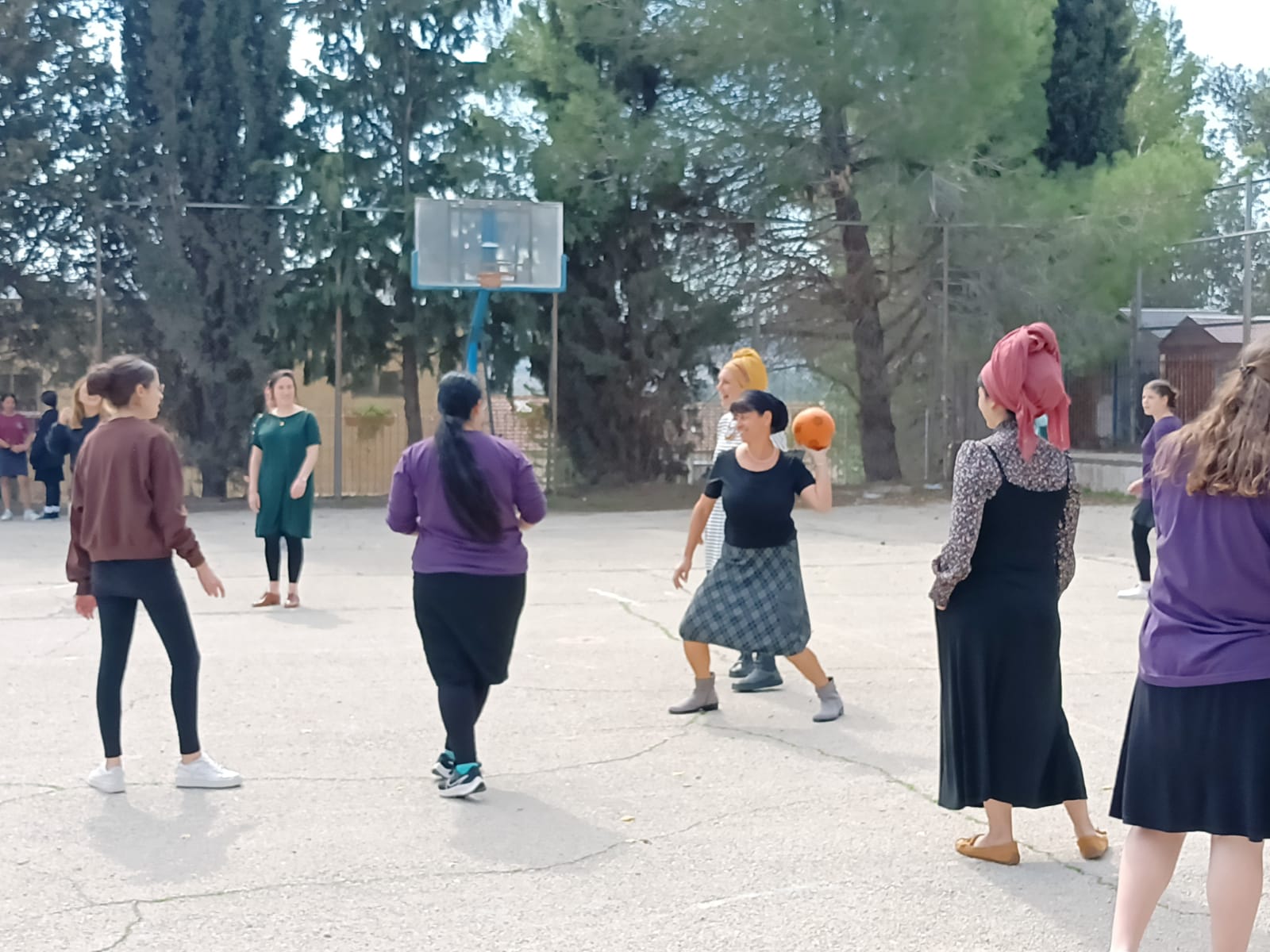 ניוזלטר2