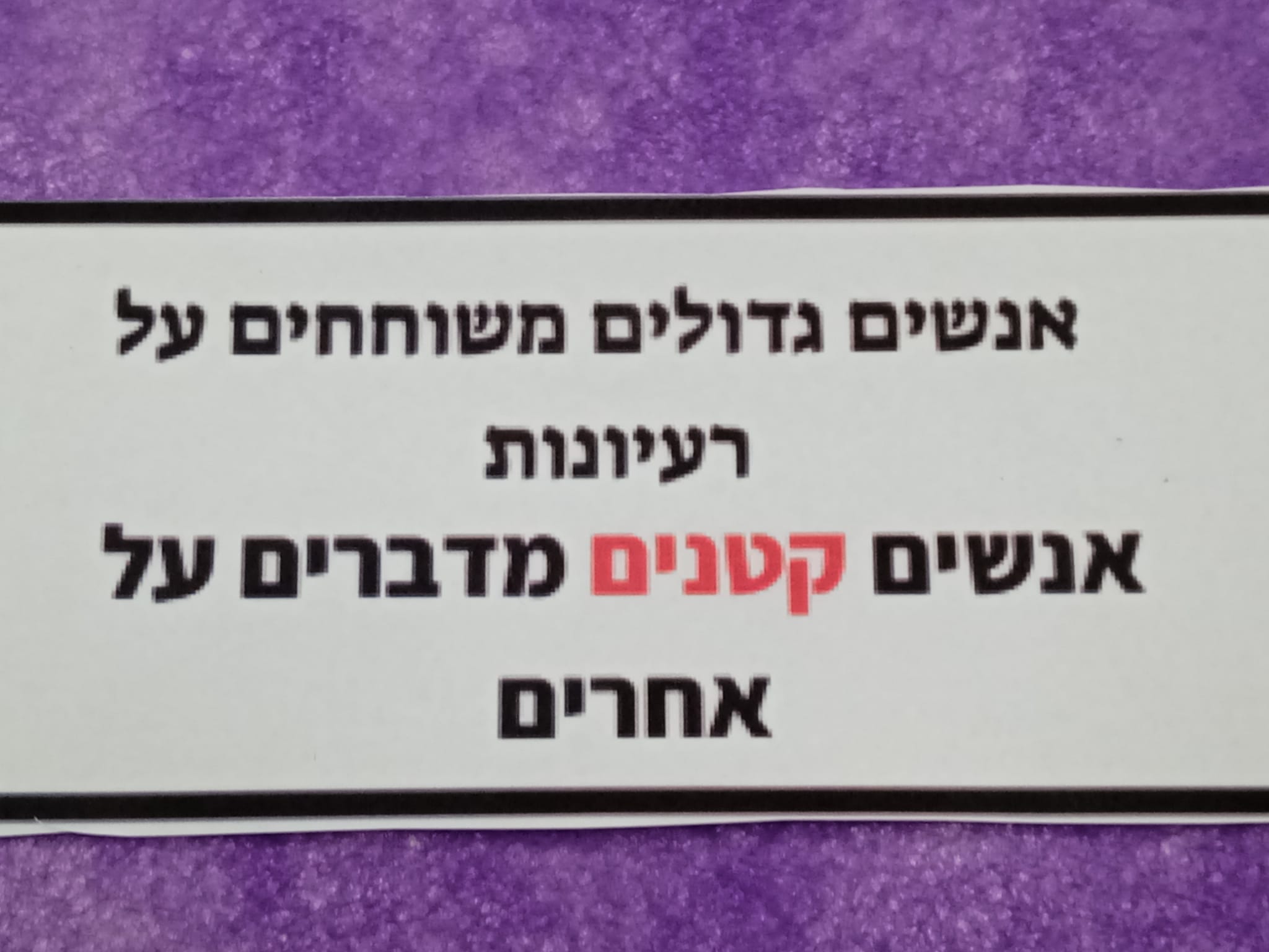 ניוזלטר2