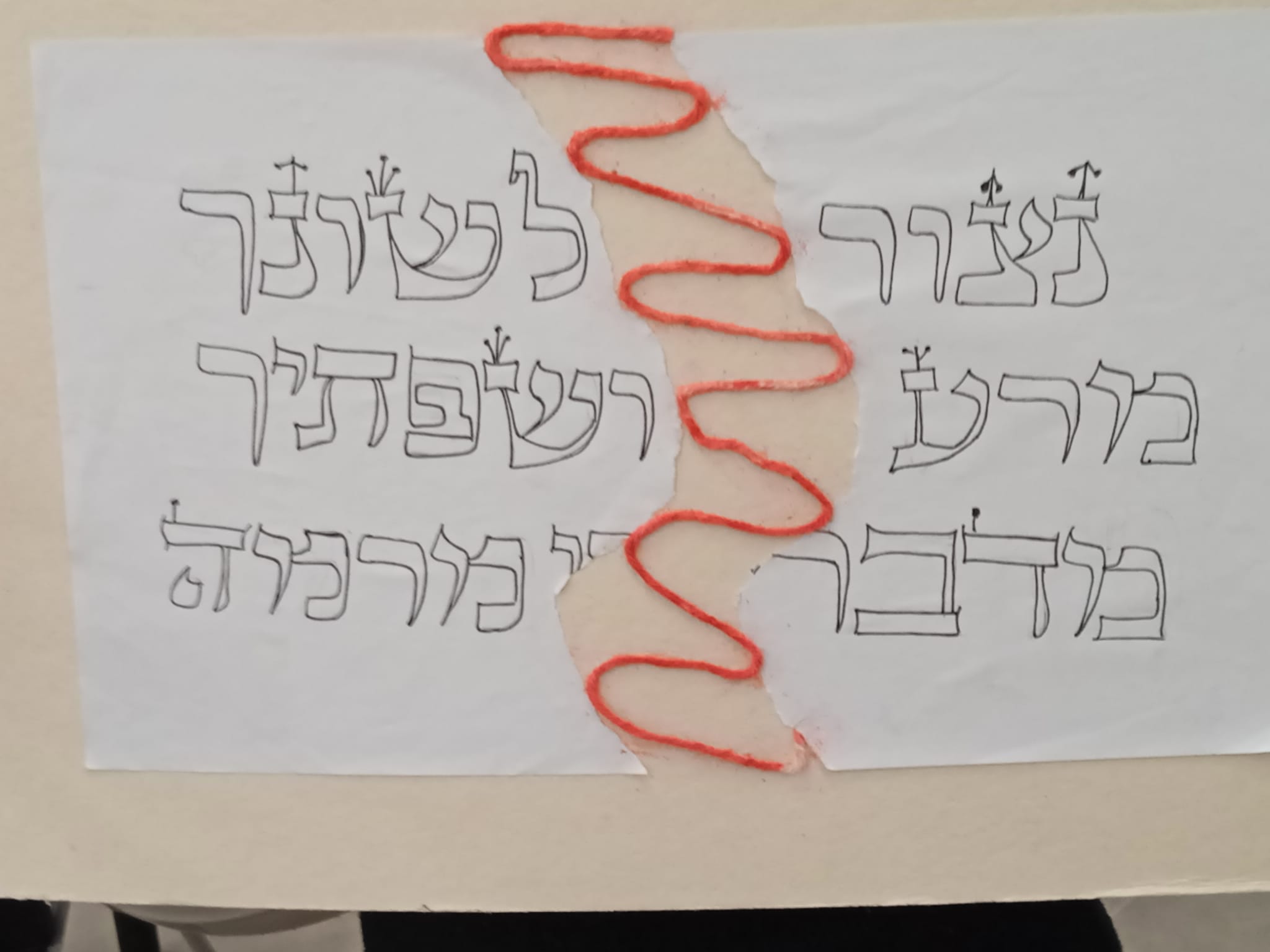 ניוזלטר2