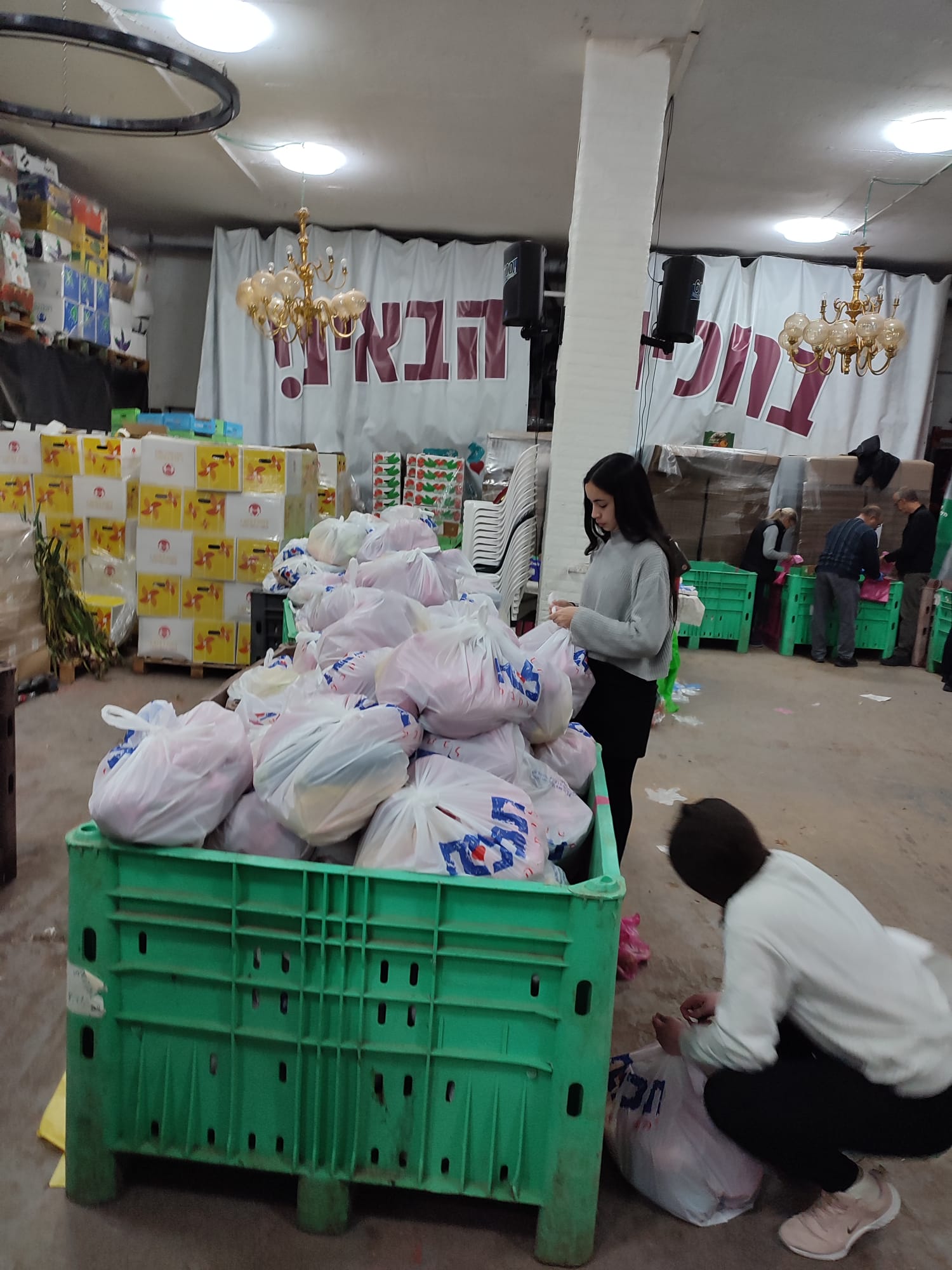 ניוזלטר2