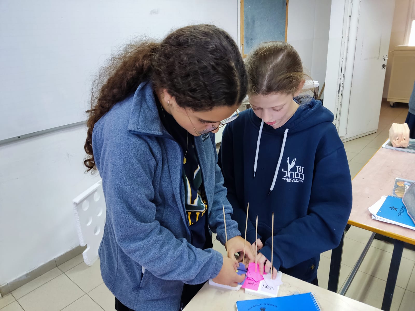 ניוזלטר2