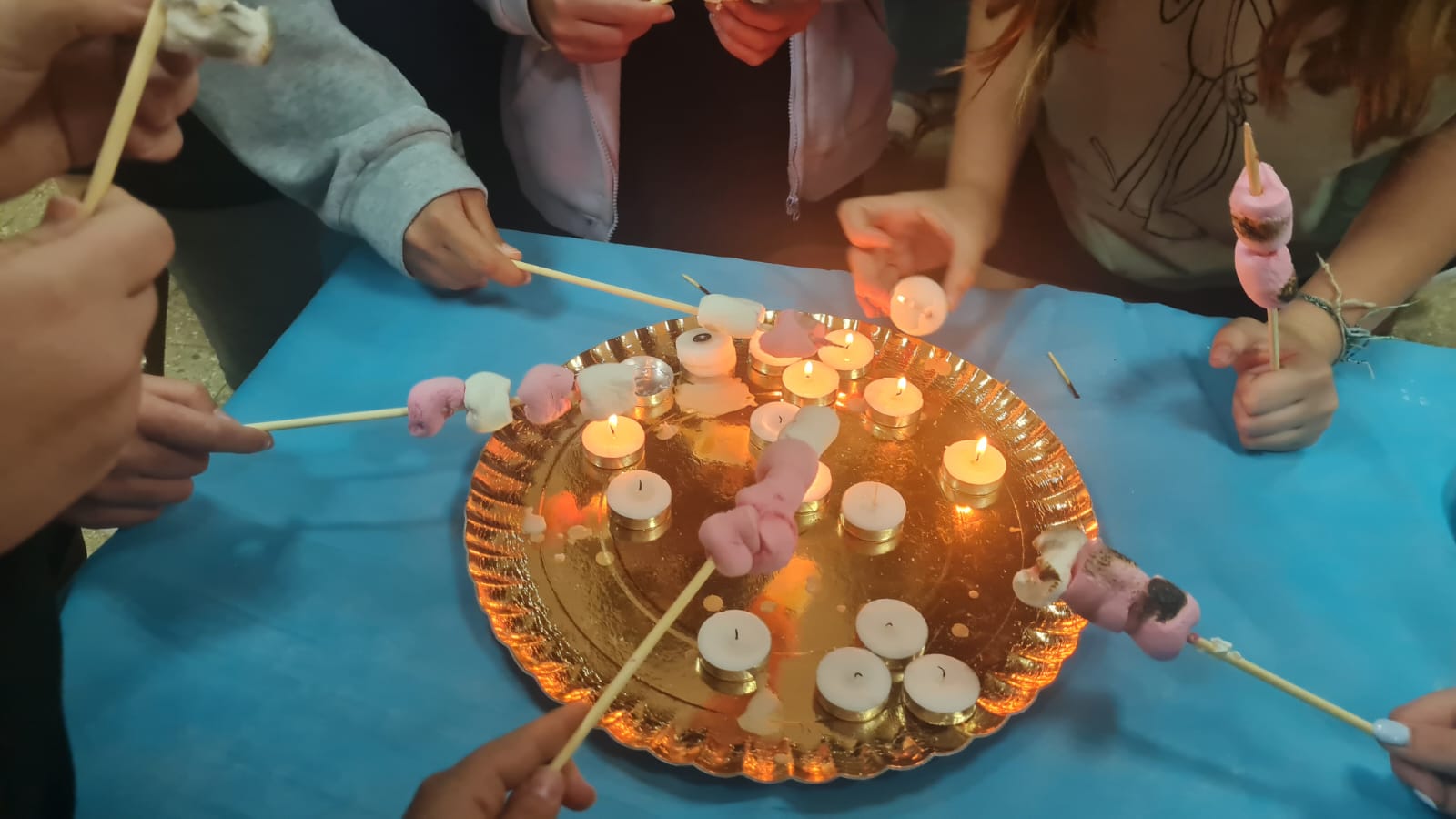 ניוזלטר2