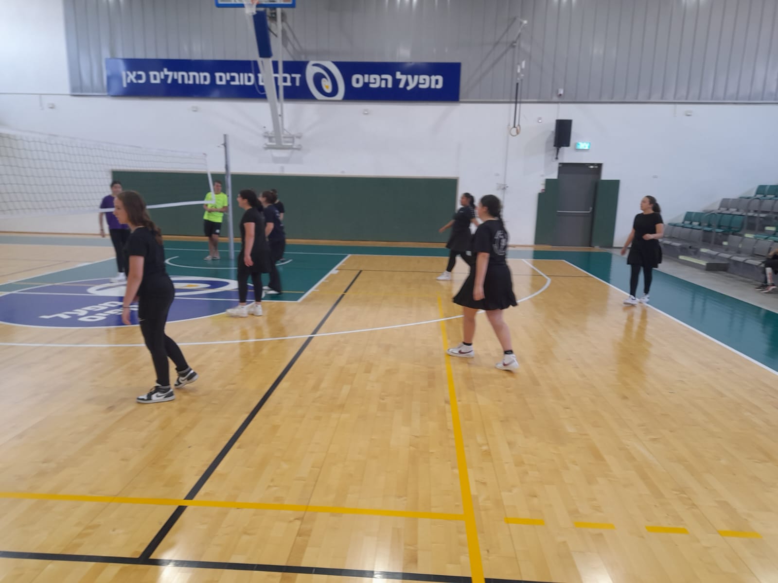 ניוזלטר2
