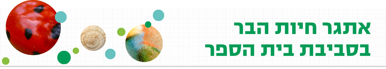 ICSC_LOGO_HE...
